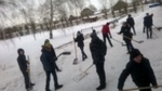 Трудовые отряды