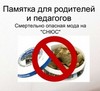 Смертельно опасная мода на "СНЮС"