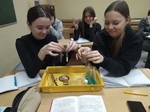 День науки в школе
