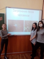 Тематические уроки "Живи, лес!"